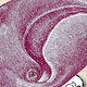 Illustration for article titled The Rise of Whalepunk: An Exclusive Excerpt from Corwin Erickson's Swell